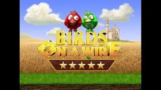 Birds On A Wire - Птички на проводе.