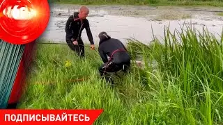 НОВЫЕ ТРАГЕДИИ – люди гибнут на водоемах; вскрыта семейная порномастерская / КРИМИНАЛ 23.05.2024