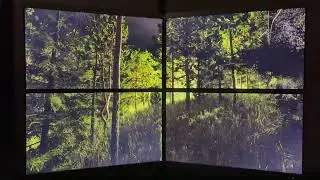 Tellusim Forest Scene Multi-GPU