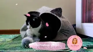 💓 Активное утро 🌄 началось в 5 часов 😁 игры спинальника Тедди 🌱