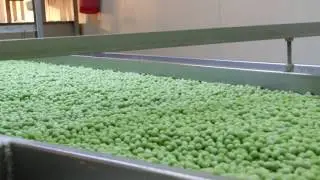 Freezing Process