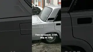 вид за 100р