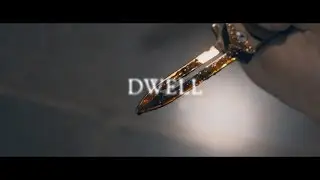 Dwell 