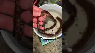 Рыбалка в Греции на море 