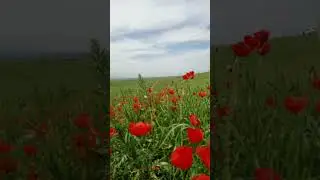 Май 2024 