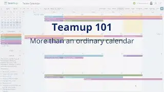 Teamup Calendar 101