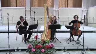 César Franck - Prélude, Fugue et Variation Op 18 - Astros Trio