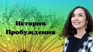 История Пробуждения/Миа/Просветление/ноябрь 2022