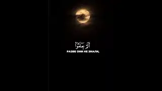 Сура «Ат-тауба» Махди Аш-Шишани #коран #ислам