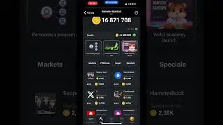 New Combo #hamsterkombat #комбодня
