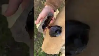 Ninja Throwing Obsidian Stars 🥷🏻⭐️ #short #shorts #shortvideo #shortsvideo #fypシ #fyp