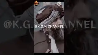 Mola ALI Faramate Tu na muja dhoka ..||#shorts #drsulemanmisbahi #molaaliع #subscribe #ytviral