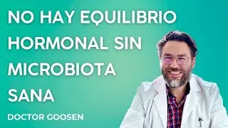 No hay equilibrio hormonal sin microbiota sana