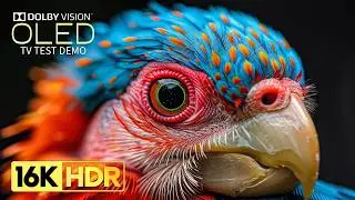 Cool and Stunning 16K Video ULTRA HD 120fps | 16K HDR Dolby Vision (8K/4K TV)
