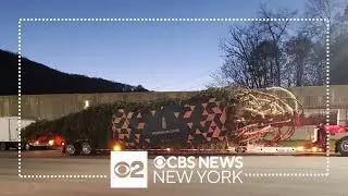 Rockefeller Center Christmas tree heads to Manhattan