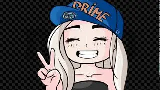 primesub alert 1 demo