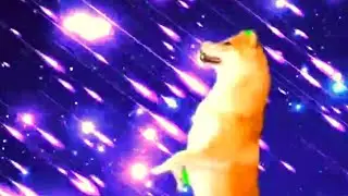 my doggo