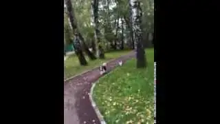 IMG 0980