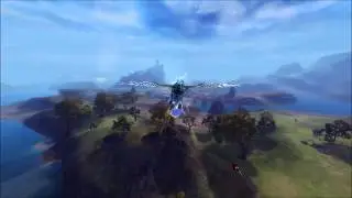 Flying with the Beetle