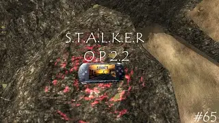 S.T.A.L.K.E.R - ОП 2.2 | Ностальгия о прошлом | Наташа - растеряша | Тайник Затворника | #65