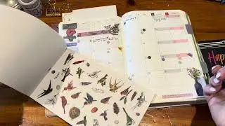 Plan with me!! August Monthly and Upcoming week in the Hobonichi Cousin 🫶🏻