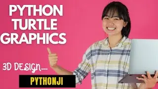 Beautiful 3D Design using Python Turtle Graphics | PYTHONJI