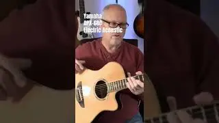 Yamaha APX-600 // Electric Acoustic