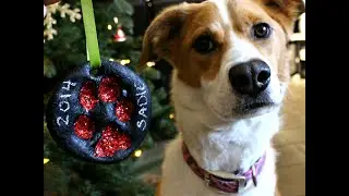 How To Make a Salt Dough Puppy Paw Print Ornament