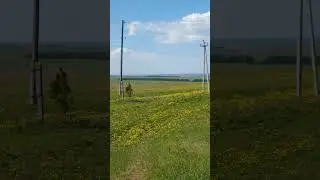 25 мая 2024 г.
