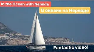 Amazing ocean trip from Malaga to Tenerife with Bavaria 51 