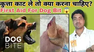 कुत्ता काट ले तो क्या करना चाहिए? How to care dog if bitten by stay dog?