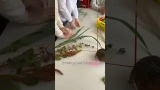 Пришел агроном