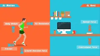 Free Body Diagrams - Engineering Mechanics