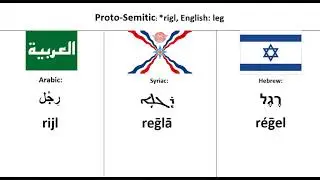 Semitic Languages | Word Comparison