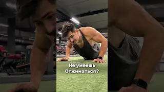 С такими тренировка можно научится отжиматься без рук и без ног #приколы #спорт #отжимания #юмор