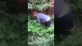 Дядя ты че потерял,смотри змея ползет,сейчас укусит или реакцию не пробухать