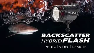 The Most Powerful Underwater Strobe & Video Light Combination Ever Created! Backscatter Hybrid Flash