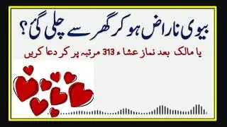 Zidi Wife | Wife Respect Ni Krti | بیوی ناراض ہو کر گھر سے چلی گئی کیا کریں | #excellenceacademy