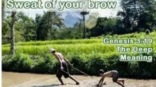 idioms and phrases#for all competitive exams#the sweat of one's brow#for all competitive exams