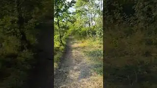 Казкова природа Труханового острова🙂 The fabulous nature of Trukhanov Island🙂