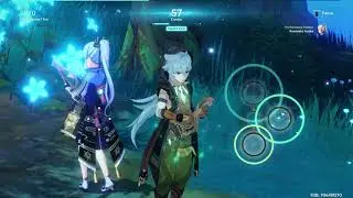 Genshin Impact - 100% Forest Watch on Pro Difficulty