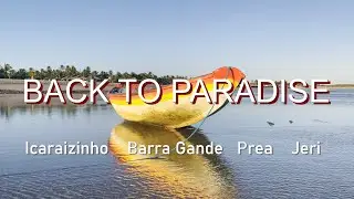 2022 Back To Paradise