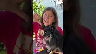 DESMASCAREI MITOS SOBRE CÃES 🐶