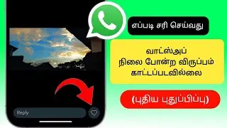 வாட்ஸ்அப் நிலை போன்ற விருப்பம் புதிய அப்டேட்| வாட்ஸ்அப் நிலையை எவ்வாறு சரிசெய்வது போன்ற பட்டன்