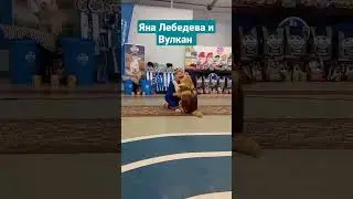 Хендлер и щенок Маламута❤️ handler and Malamute