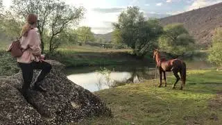 Как кричит жеребец когда видит девочку