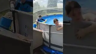 бассейн 