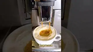 Most authentic Affogato  in Italy / famous coffee dessert #coffee #affogato #italianfood