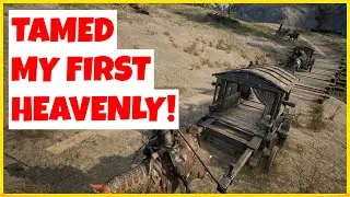 HOW TO FIND AND TAME HEAVENLY HORSES? | MYTH OF EMPIRES