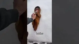 Why Babies Sleep Outside in Winter⁉️😱